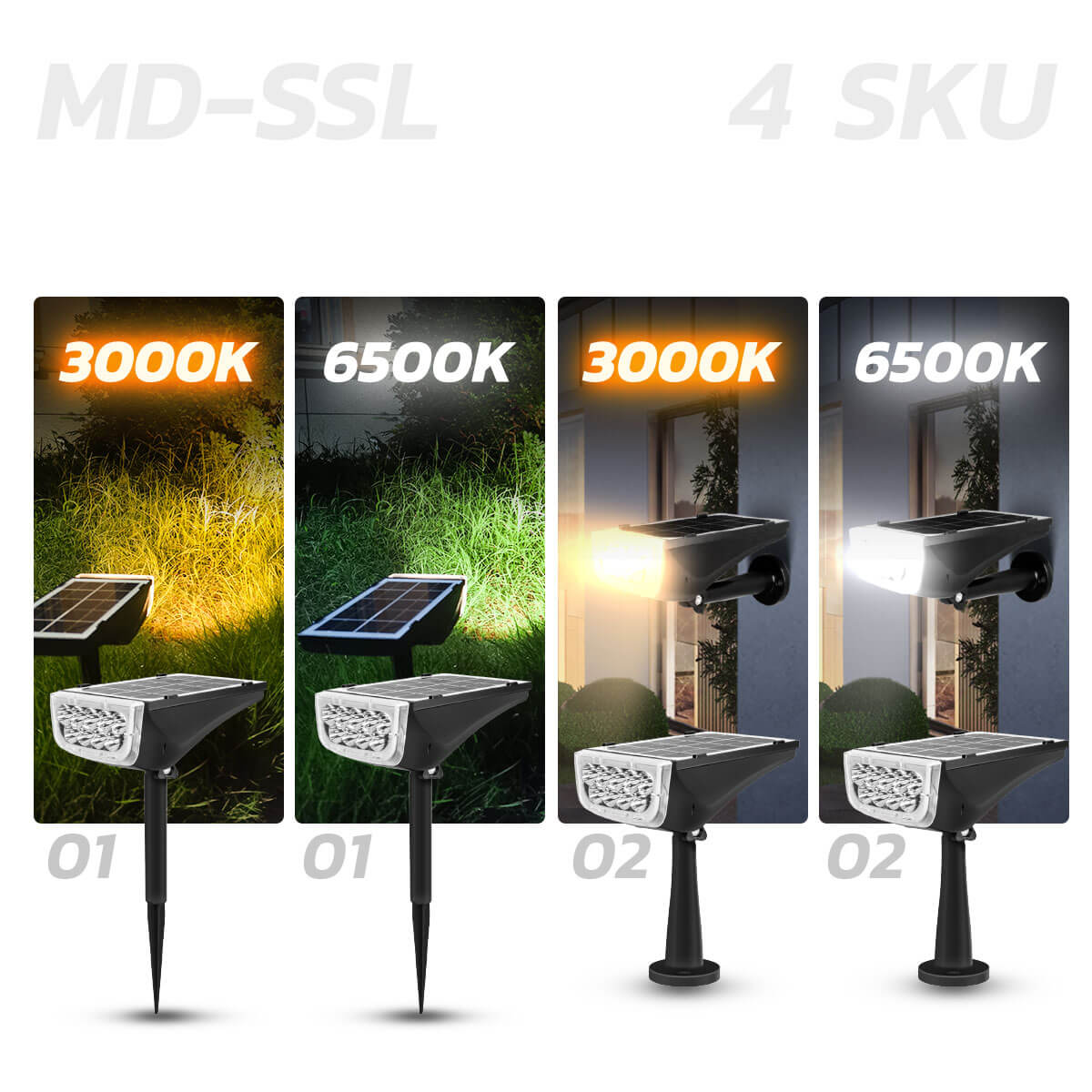 รูปภาพของ MD-SSL