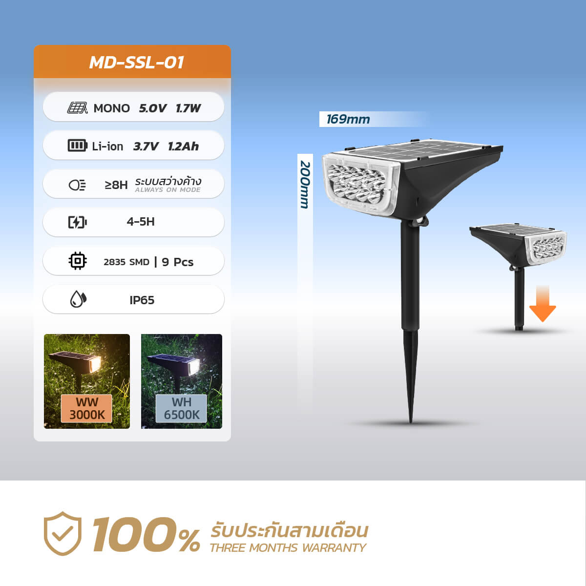 รูปภาพของ MD-SSL