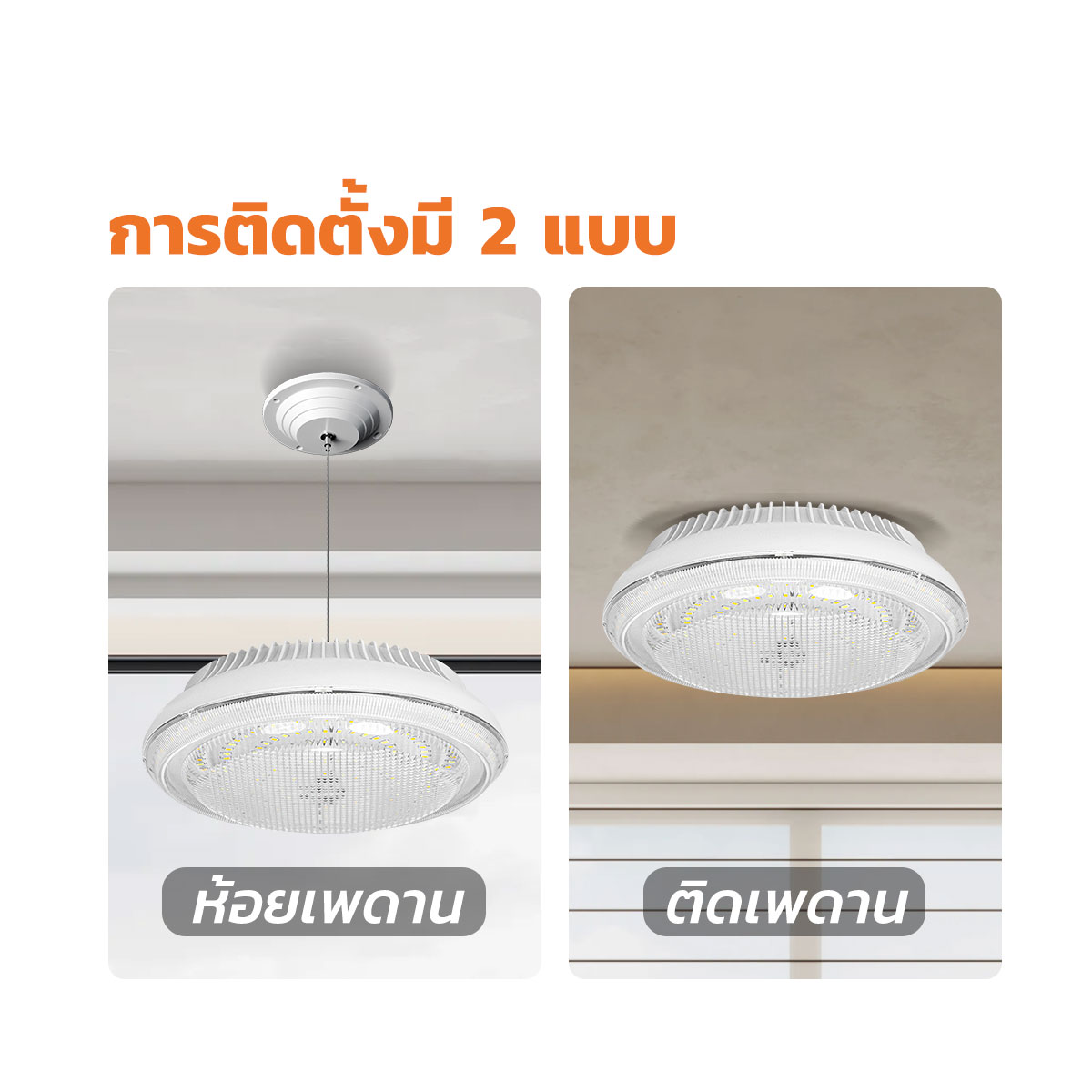 รูปภาพของ MD-SCL88