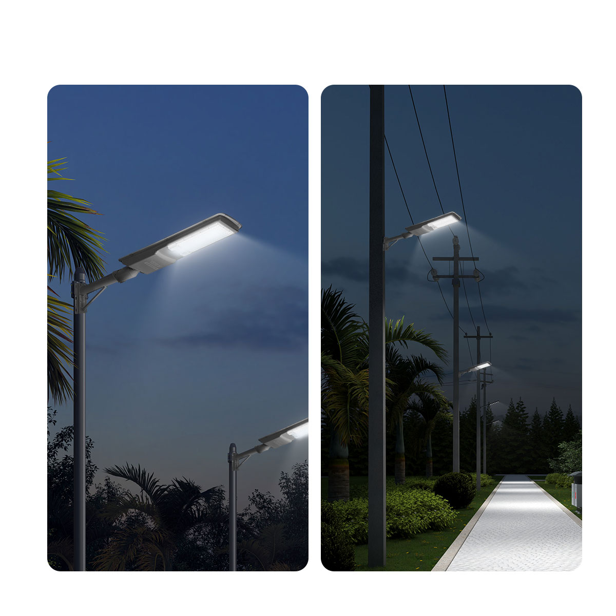 รูปภาพของ MD-SLT50
