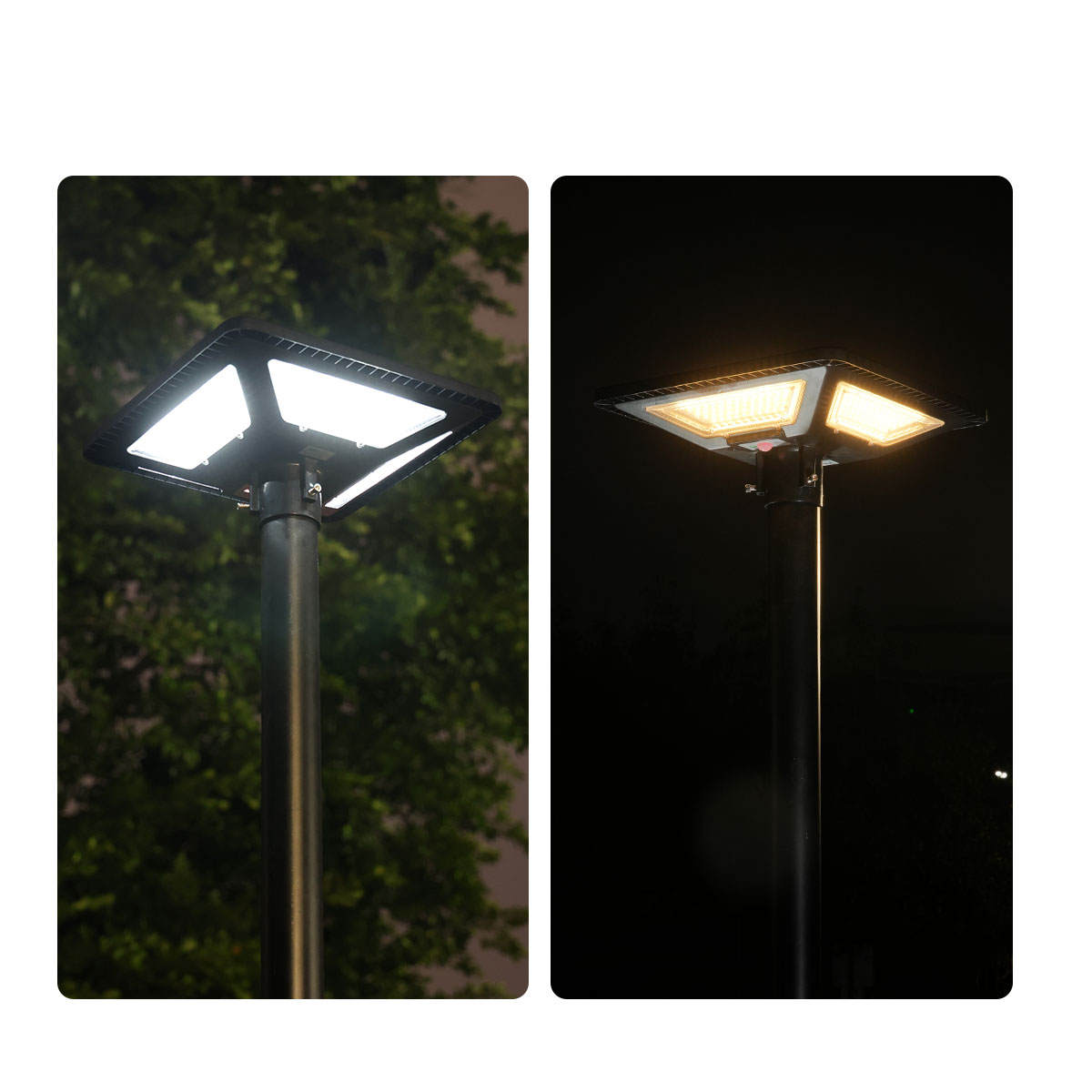 รูปภาพของ MD-SLT28