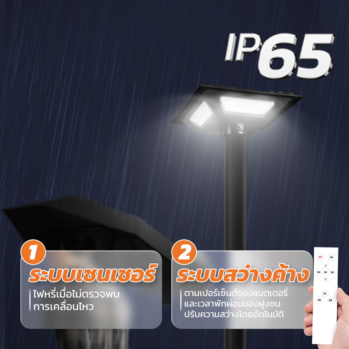 รูปภาพของ MD-SLT28