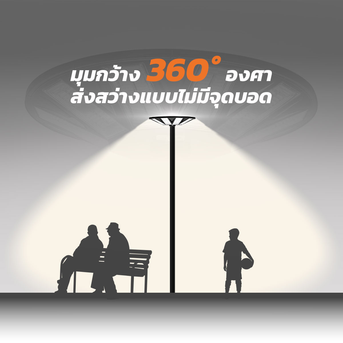 รูปภาพของ MD-SLT38