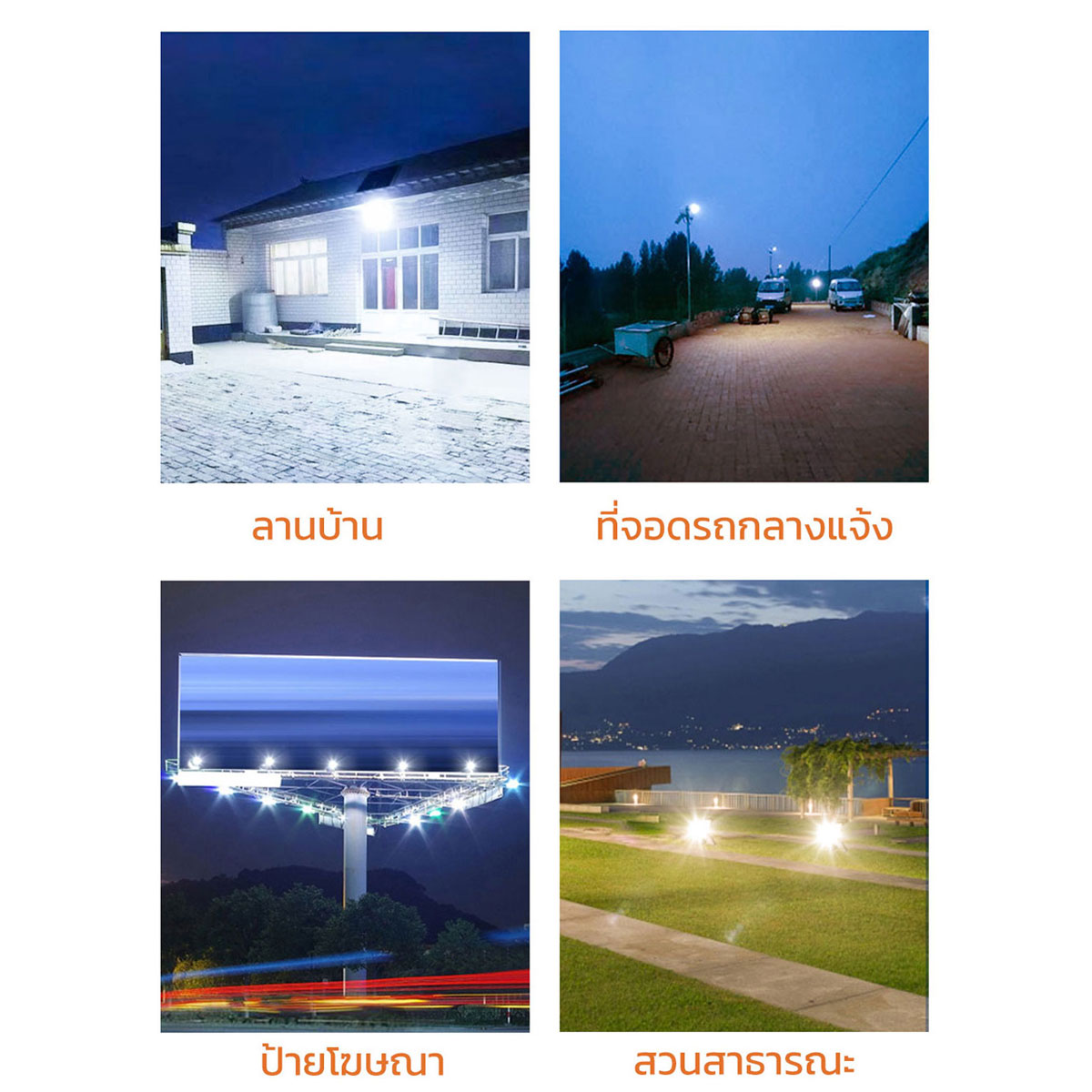 รูปภาพของ MD-PT28