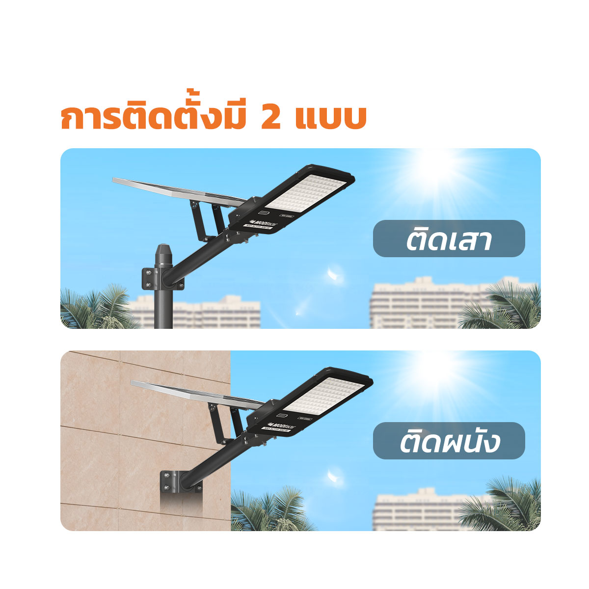 รูปภาพของ MD-SLT19