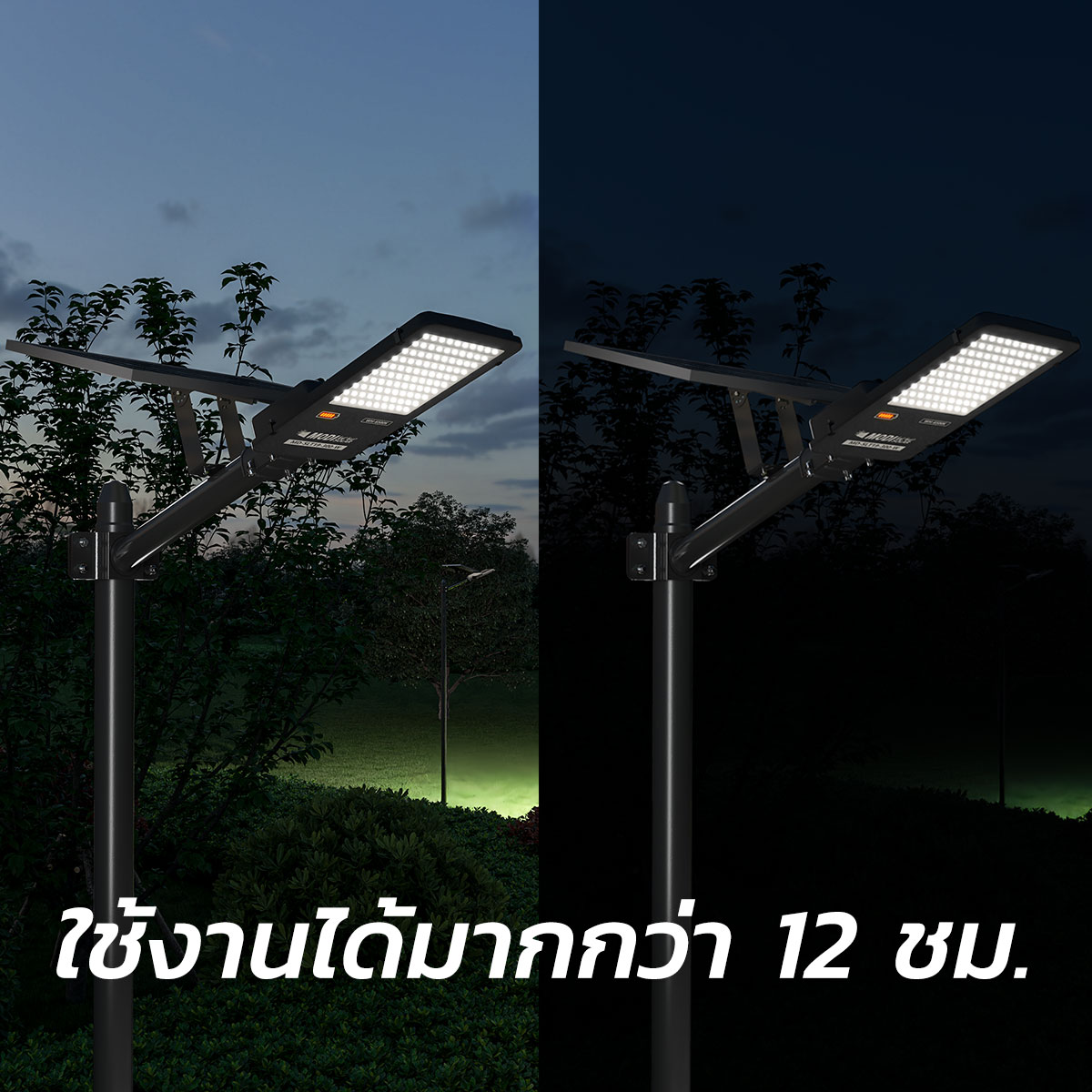 รูปภาพของ MD-SLT19