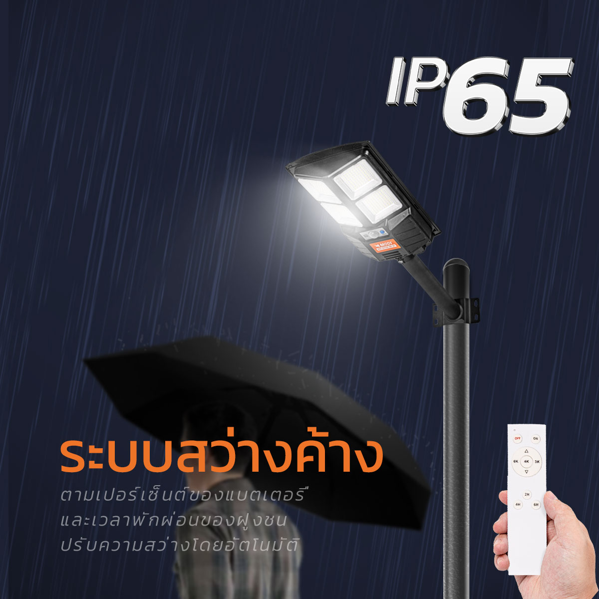 รูปภาพของ MD-SLT26