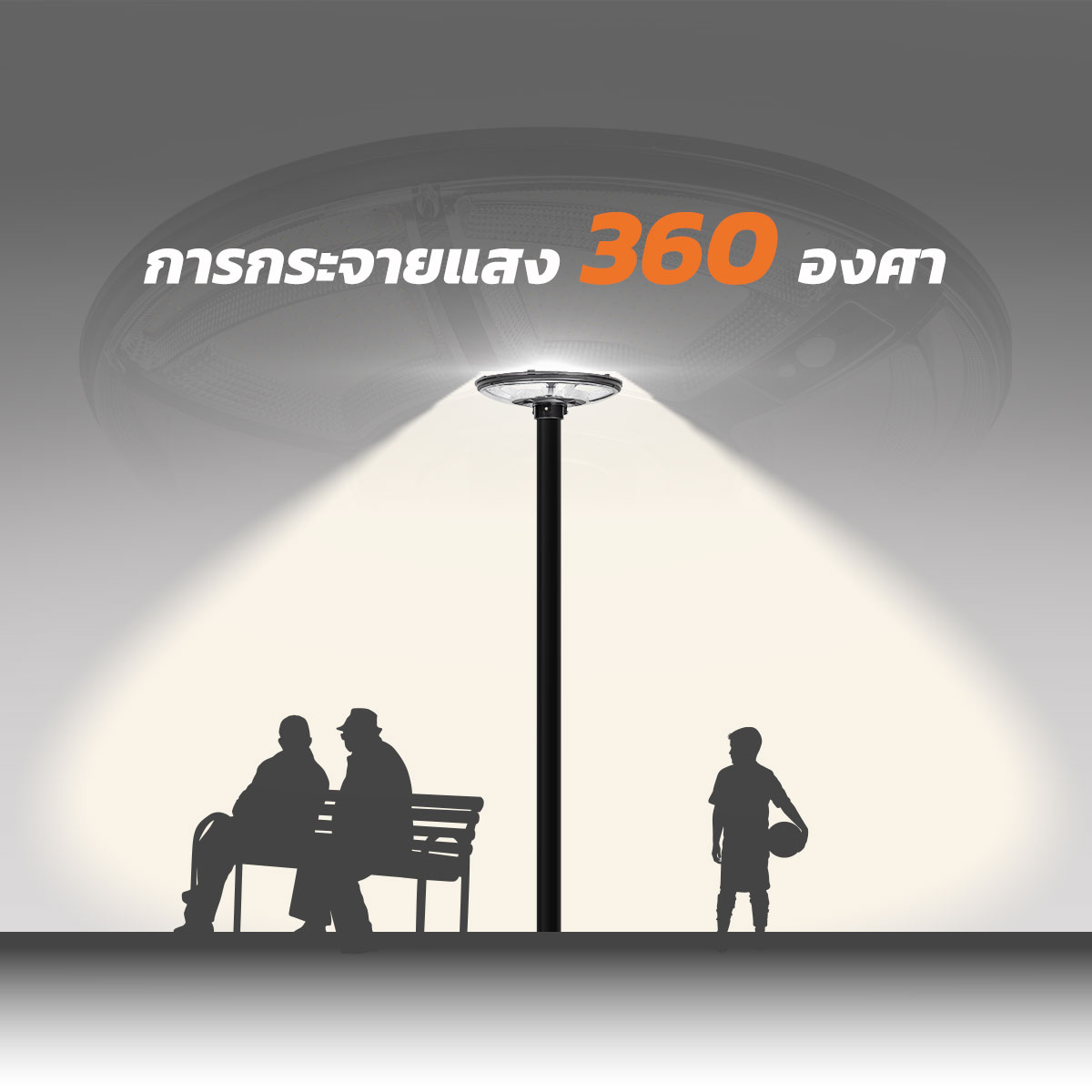 รูปภาพของ MD-SLT39 - P