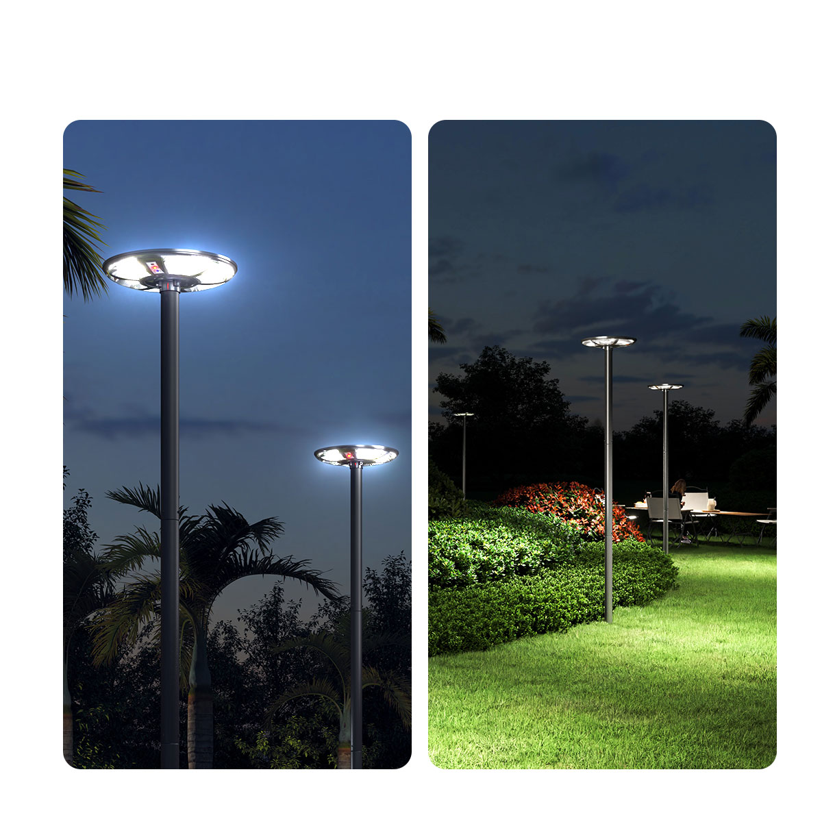 รูปภาพของ MD-SLT39 - P