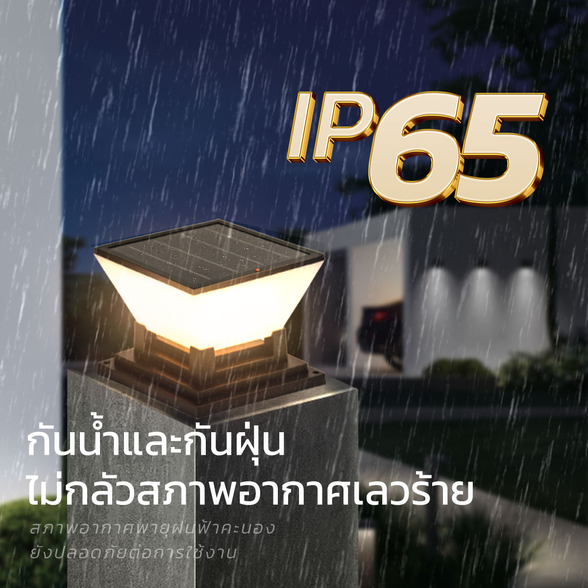 รูปภาพของ MD-SPL-G