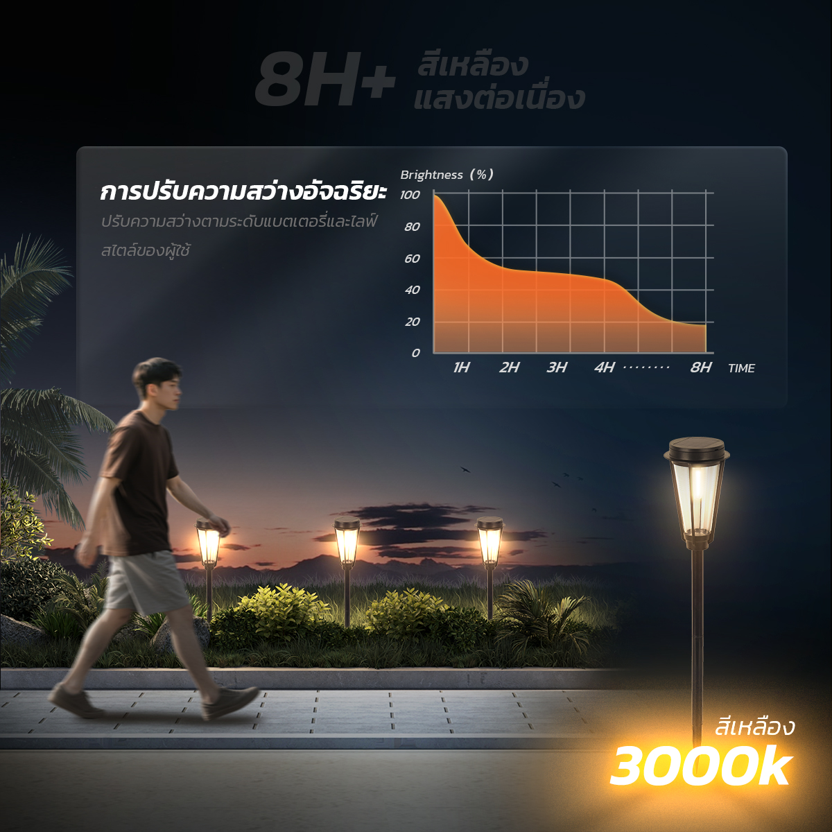 รูปภาพของ MD-SOLAR-H1010