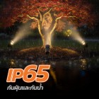 img-product@picture.AlternateText