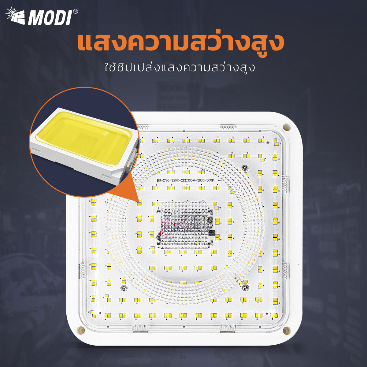 รูปภาพของ MD-SCL08-S220