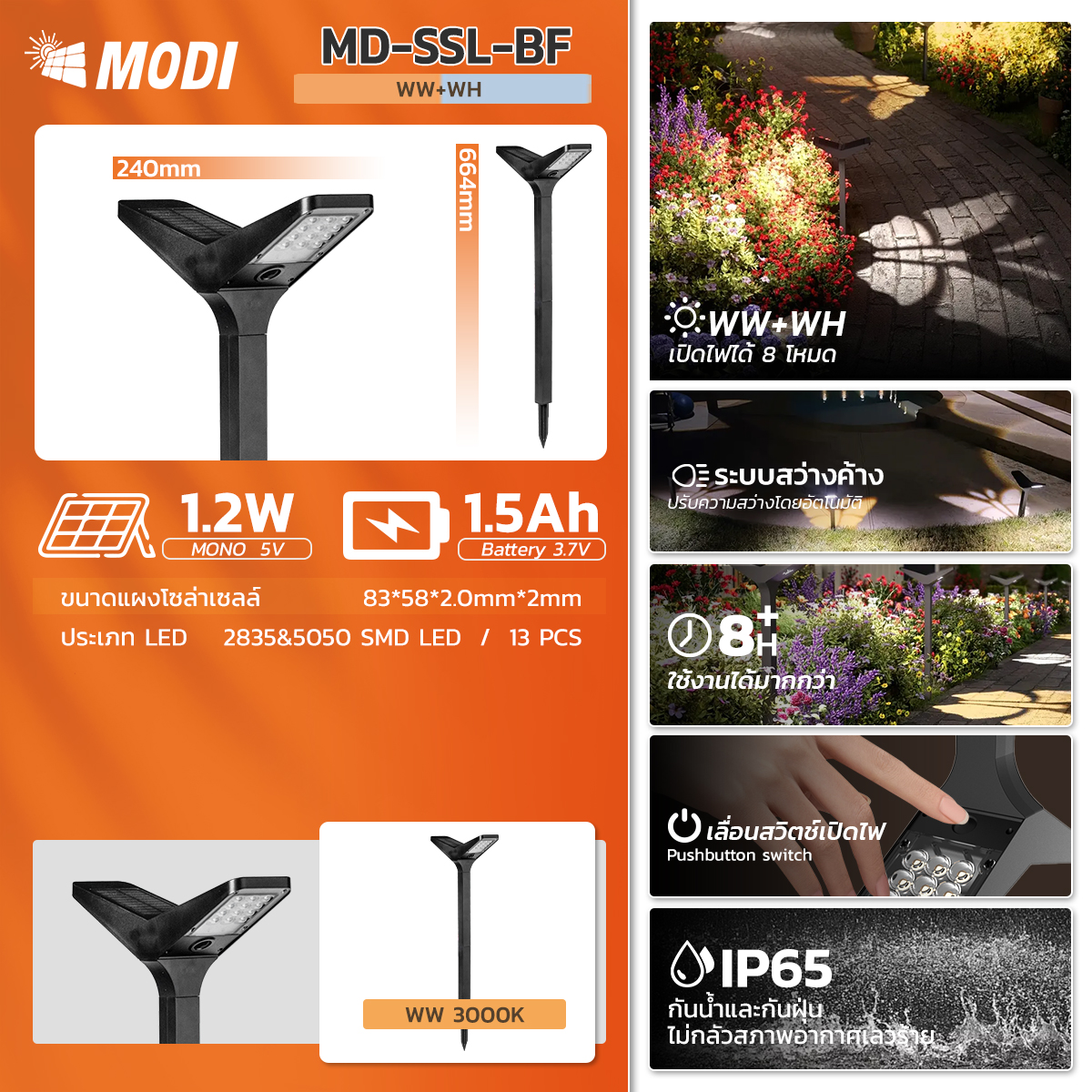 รูปภาพของ MD-SSL09-2P WW