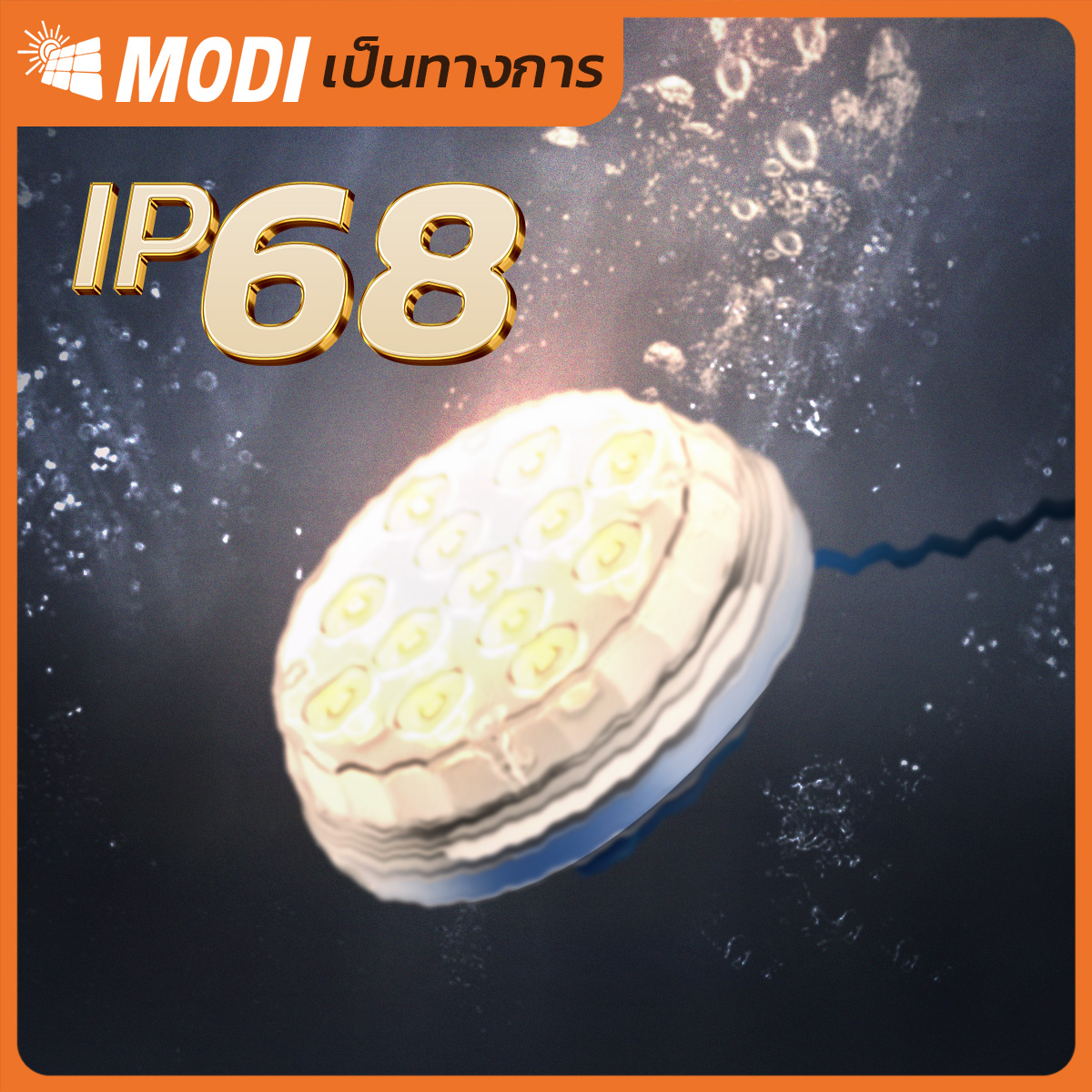 รูปภาพของ MD-SBS-09 WW