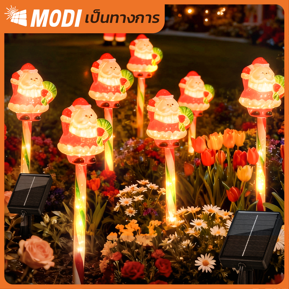 รูปภาพของ MD-SOLAR-F8002