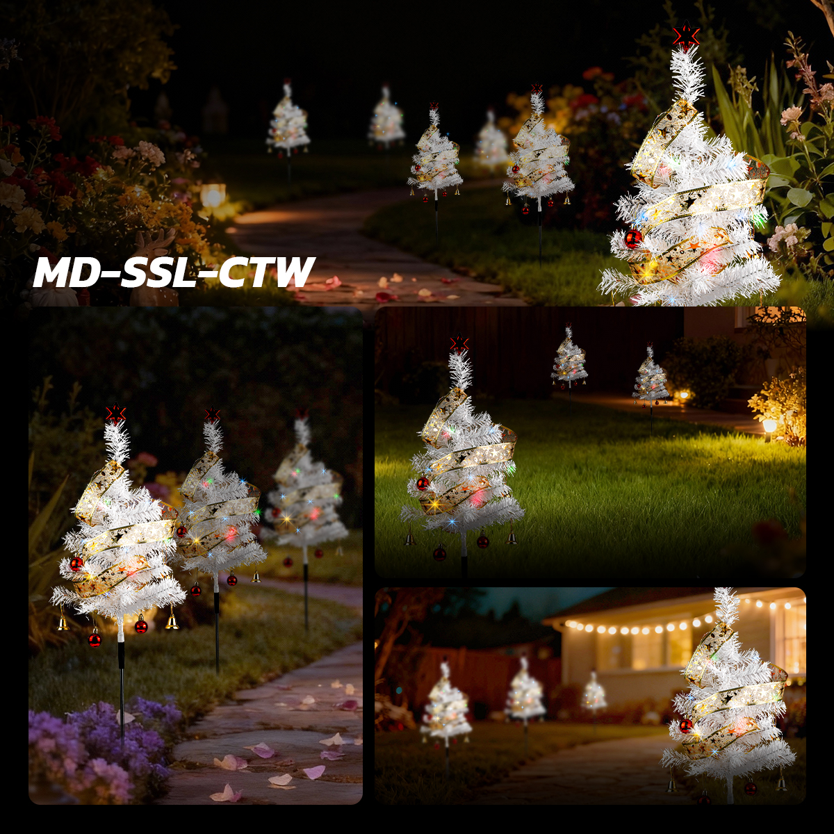 รูปภาพของ MD-SSL-CTG RGYB