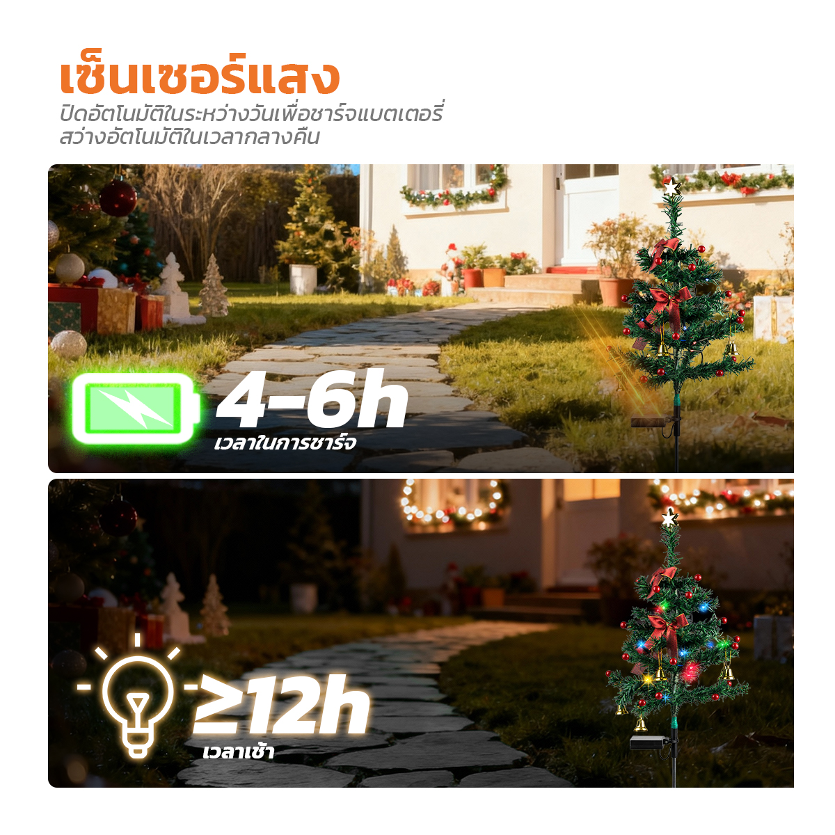 รูปภาพของ MD-SSL-CTG RGYB