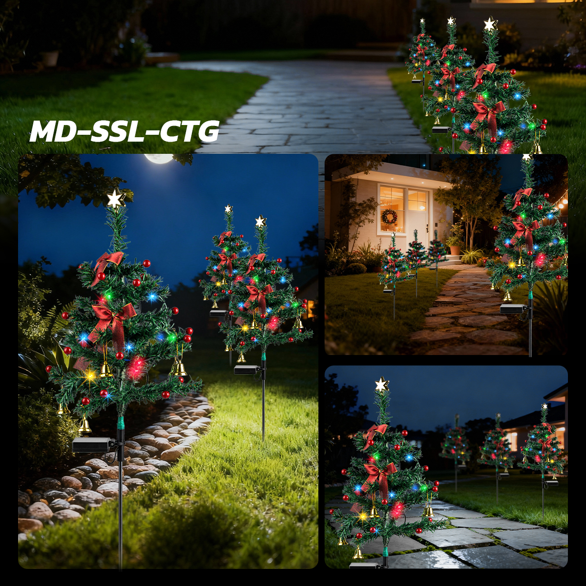 รูปภาพของ MD-SSL-CTG RGYB