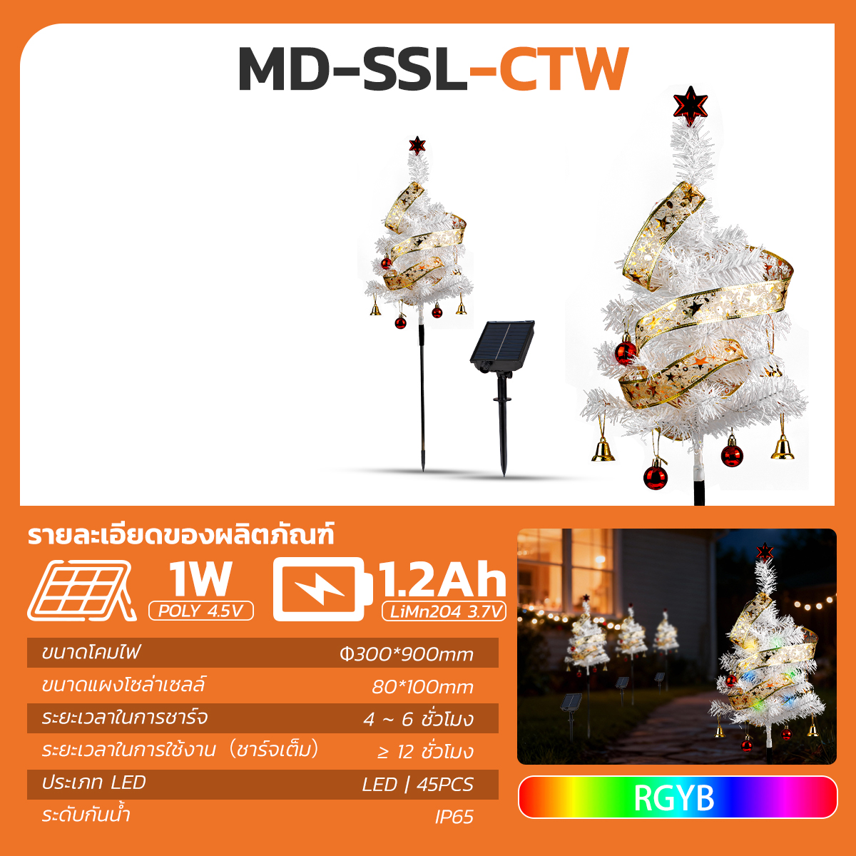รูปภาพของ MD-SSL-CTG RGYB