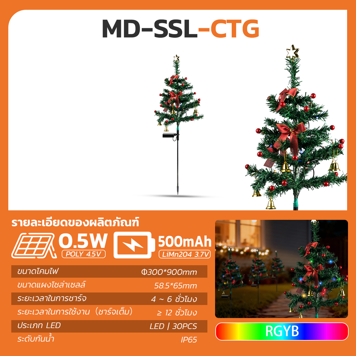 รูปภาพของ MD-SSL-CTG RGYB