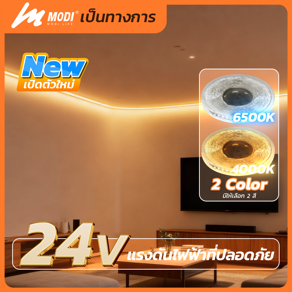 รูปภาพของ MD-DSL-2002-10M NW