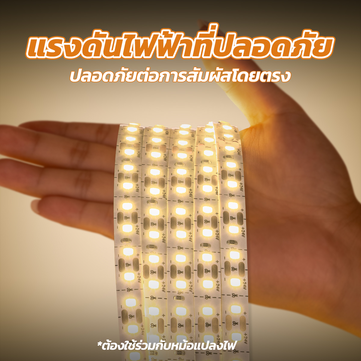 รูปภาพของ MD-DSL-2002-10M NW