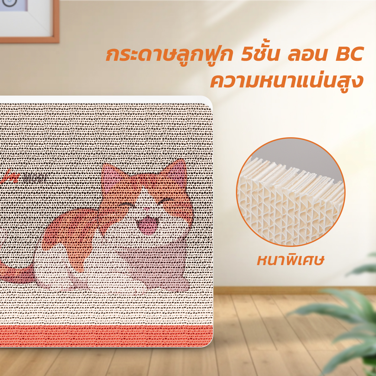 Picture of MD-PET-CA