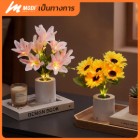 img-product@picture.AlternateText