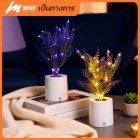 img-product@picture.AlternateText