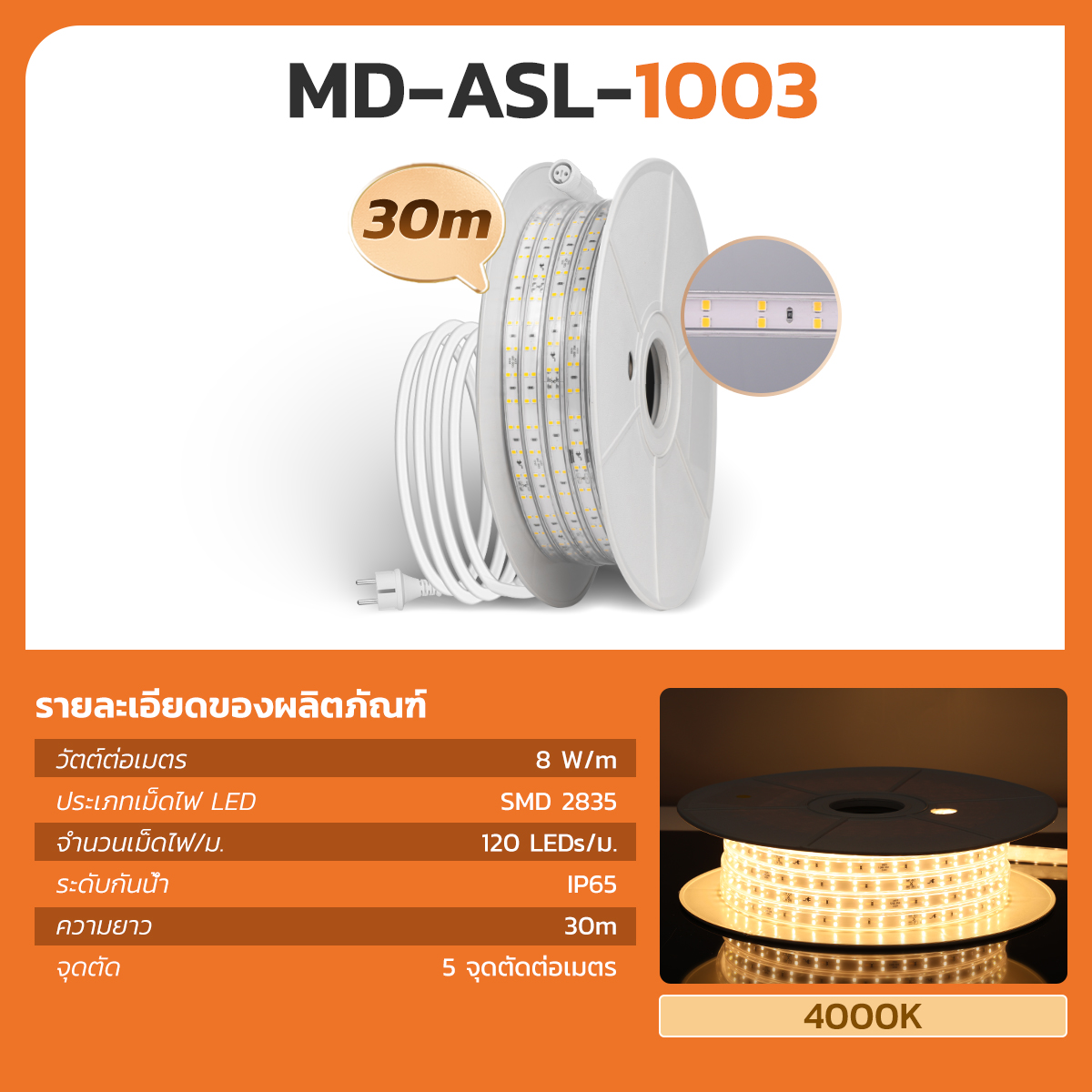 Picture of MD-ASL-1001-20M WW