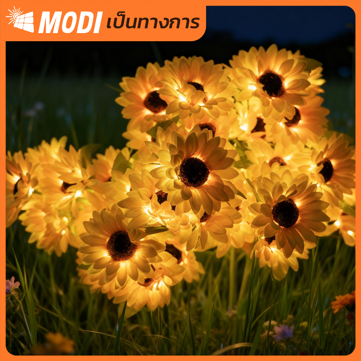 Picture of MD-SOLAR-F8008 WW