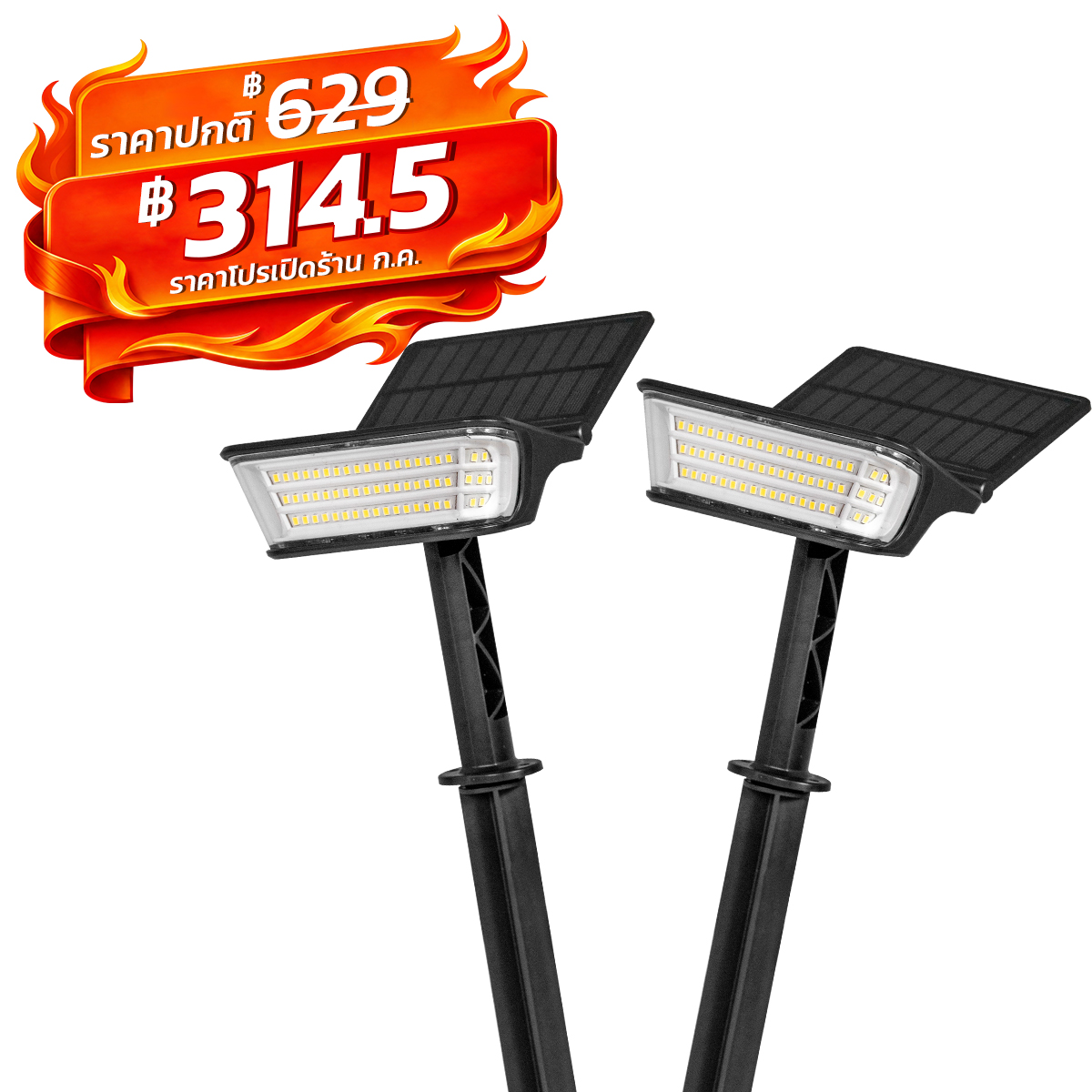 Picture of MD-SOLAR-H1031-2P WW