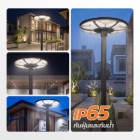 img-product@picture.AlternateText