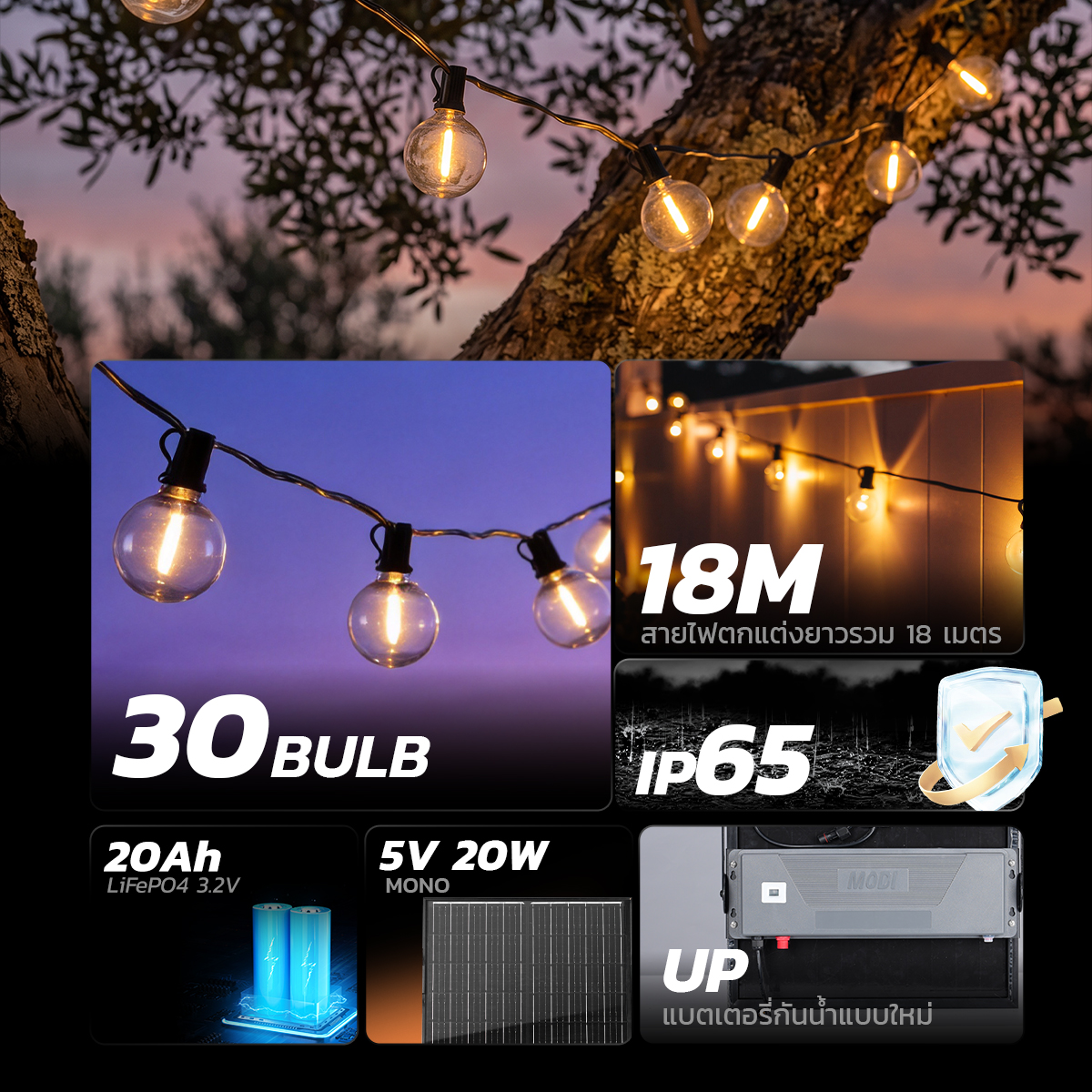 รูปภาพของ MD-SLB-8M10B-GO WW  MD-SLB-13M20B-GO WW   MD-SLB-18M30B-GO WW